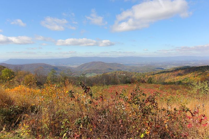 Shenandoah National Park (47).JPG