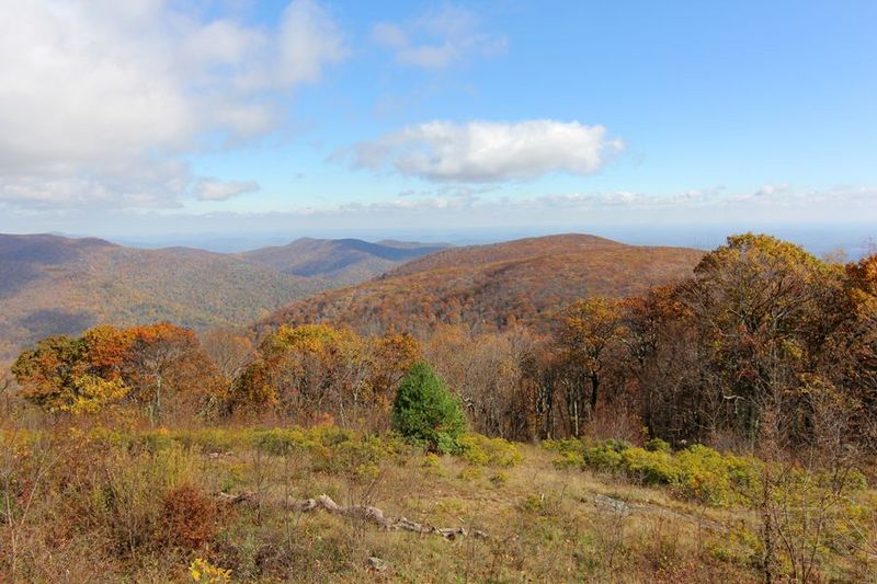 Shenandoah National Park (37).JPG