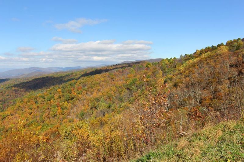 Shenandoah National Park (51).JPG