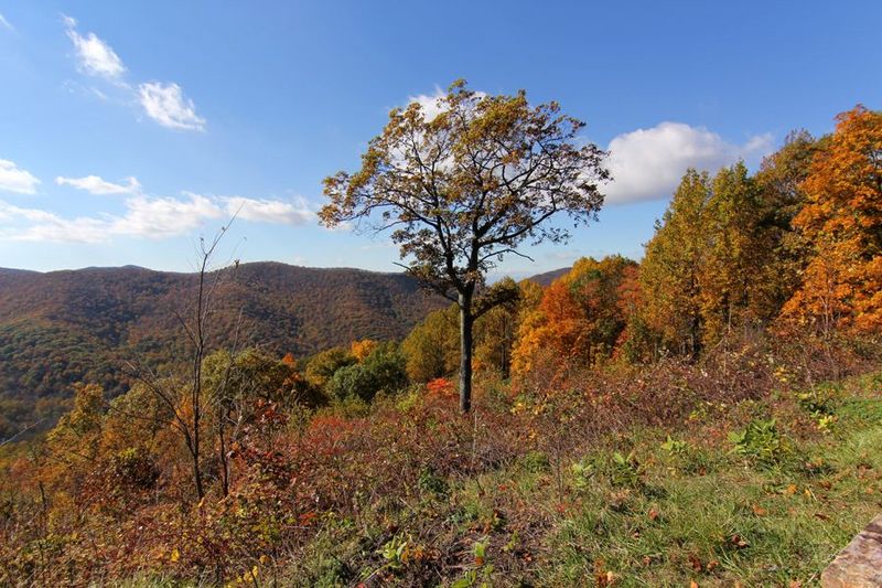 Shenandoah National Park (56).JPG