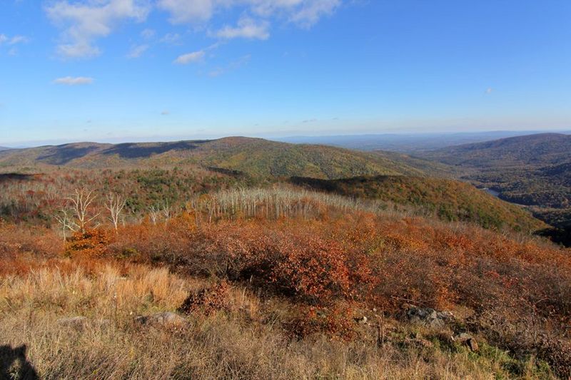 Shenandoah National Park (75).JPG