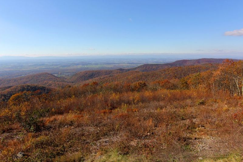 Shenandoah National Park (76).JPG