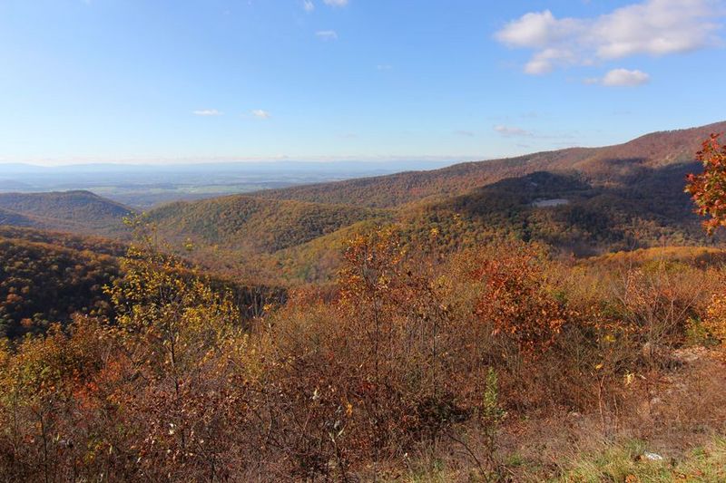 Shenandoah National Park (68).JPG