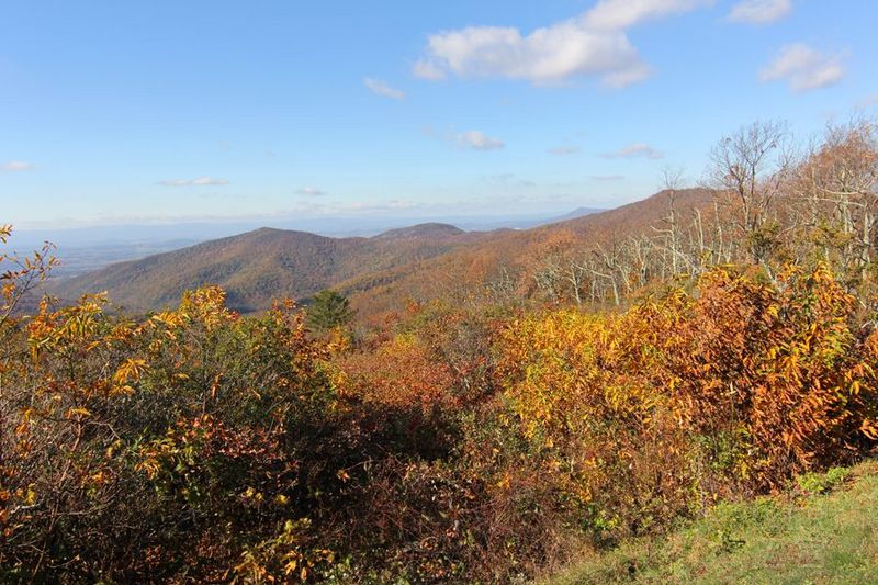 Shenandoah National Park (66).JPG