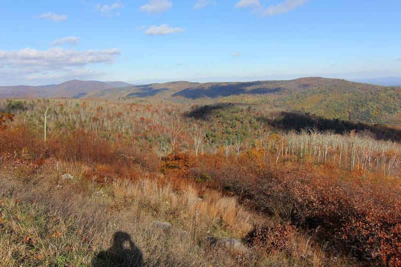 Shenandoah National Park (72).JPG