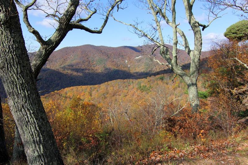 Shenandoah National Park (69).JPG