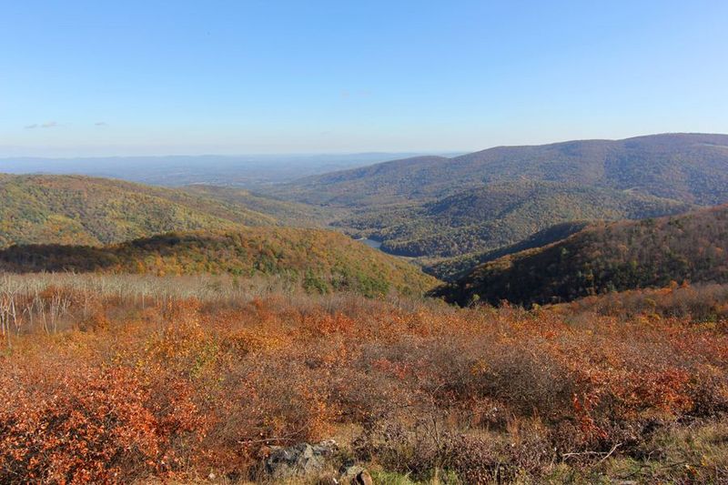 Shenandoah National Park (73).JPG