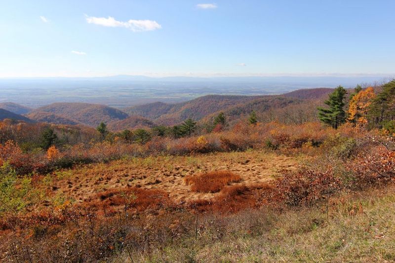 Shenandoah National Park (71).JPG