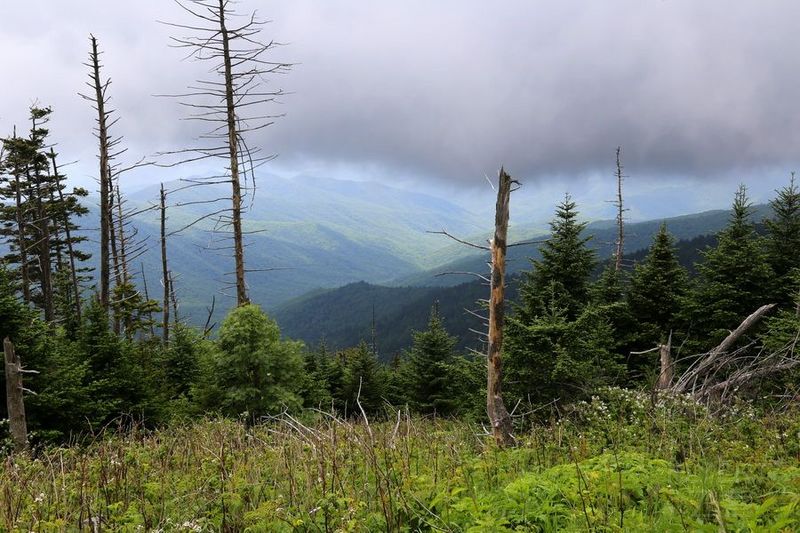 Tennessee--Great Smoky Mountain National Park (5).JPG