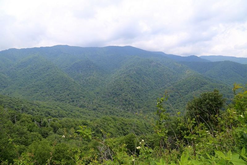 Tennessee--Great Smoky Mountain National Park (19).JPG