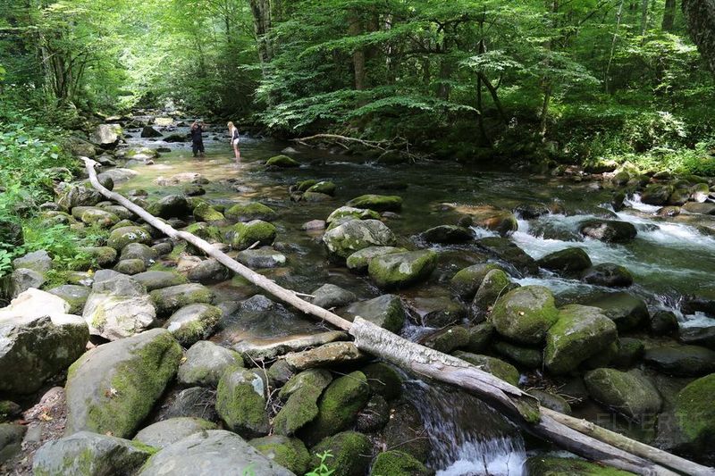 Tennessee--Great Smoky Mountain National Park (23).JPG