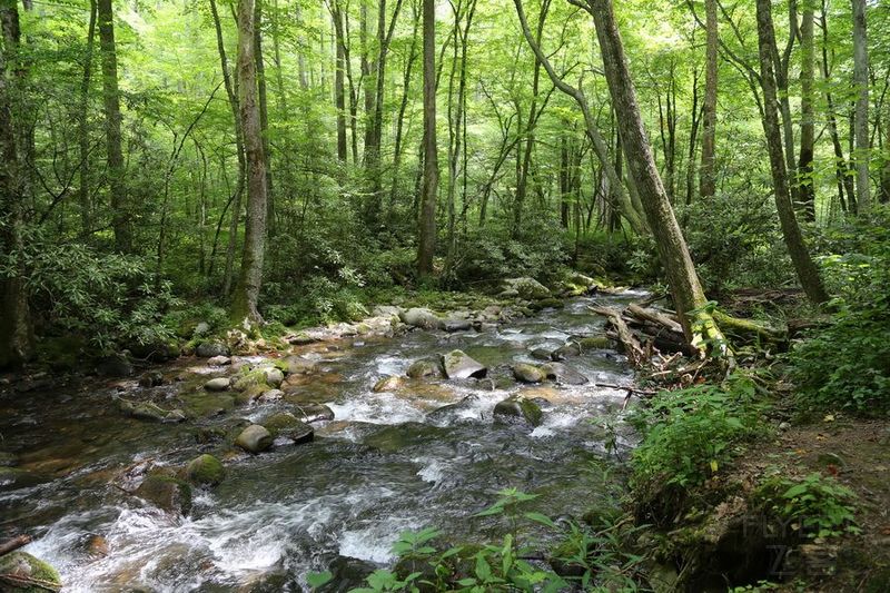 Tennessee--Great Smoky Mountain National Park (20).JPG