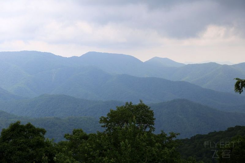 Tennessee--Great Smoky Mountain National Park (29).JPG