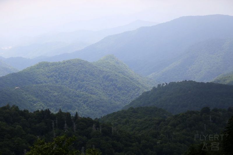 Tennessee--Great Smoky Mountain National Park (33).JPG