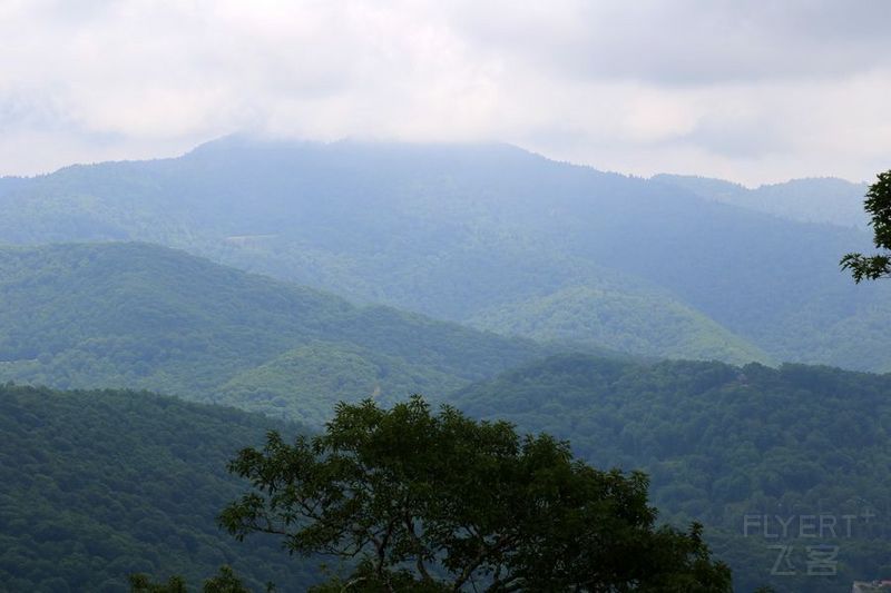 Tennessee--Great Smoky Mountain National Park (30).JPG