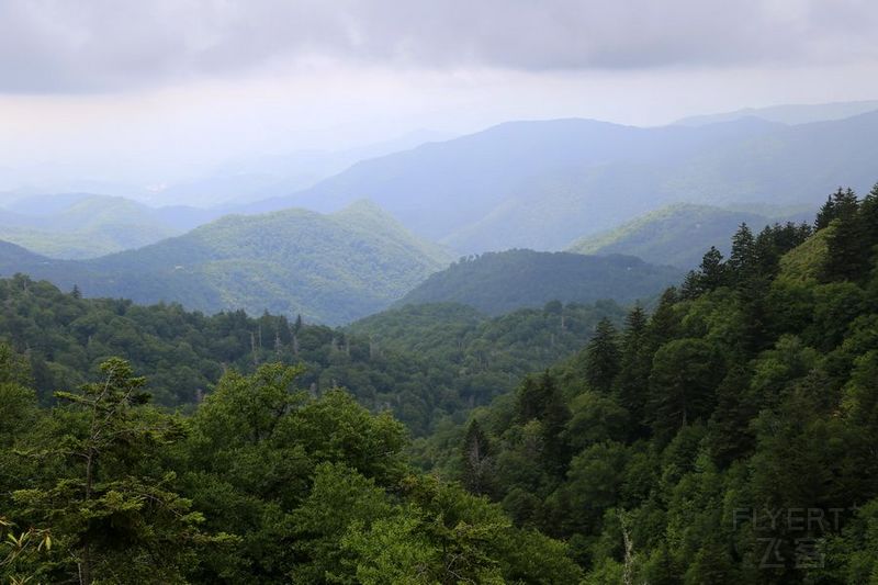 Tennessee--Great Smoky Mountain National Park (32).JPG