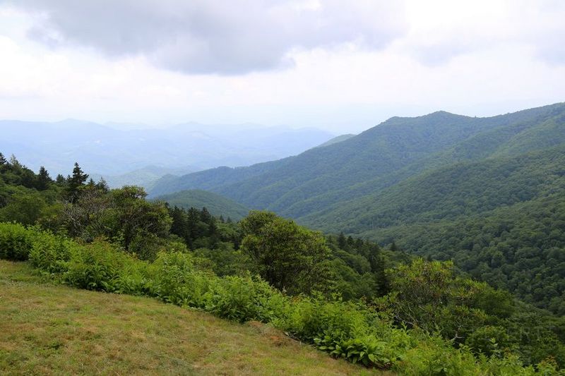 Tennessee--Great Smoky Mountain National Park (35).JPG