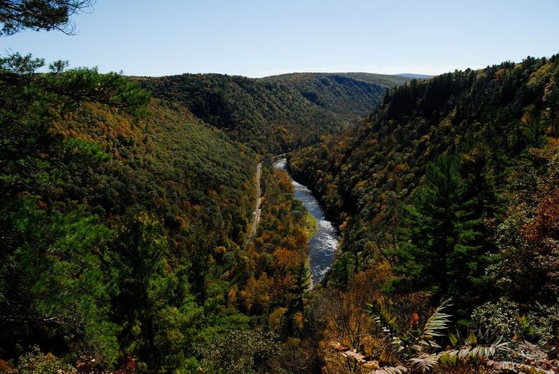 Pennsylvania--Colton Point State Park (8).jpg