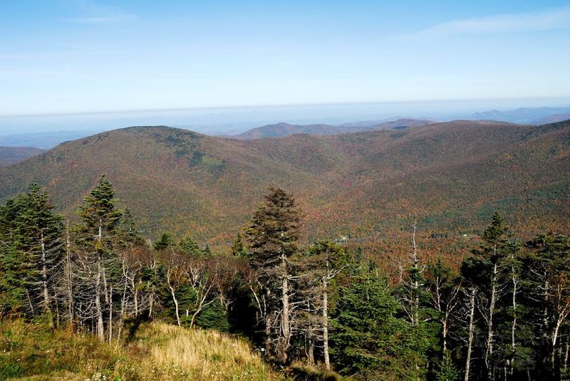 Vermont--Mt. Equinox Skyline Drive (6).jpg