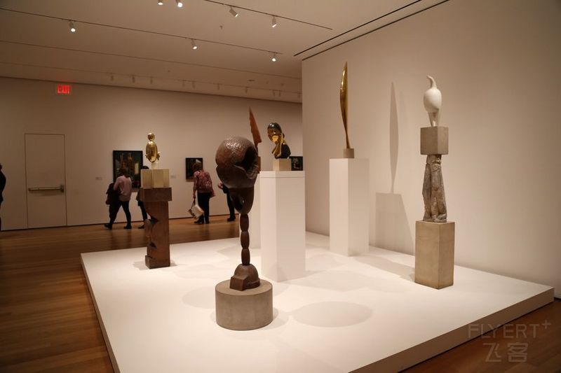 New York--Museum of Modern Art (15).JPG