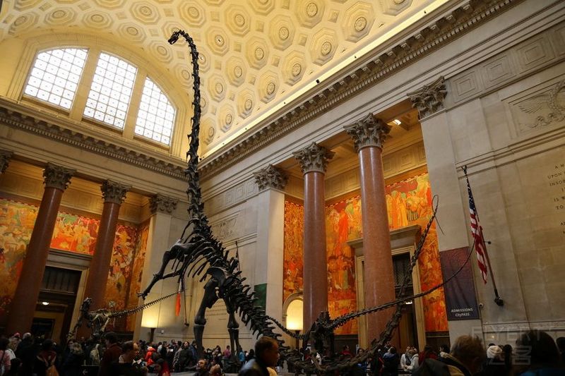 New York--American Museum of Natural History (3).JPG
