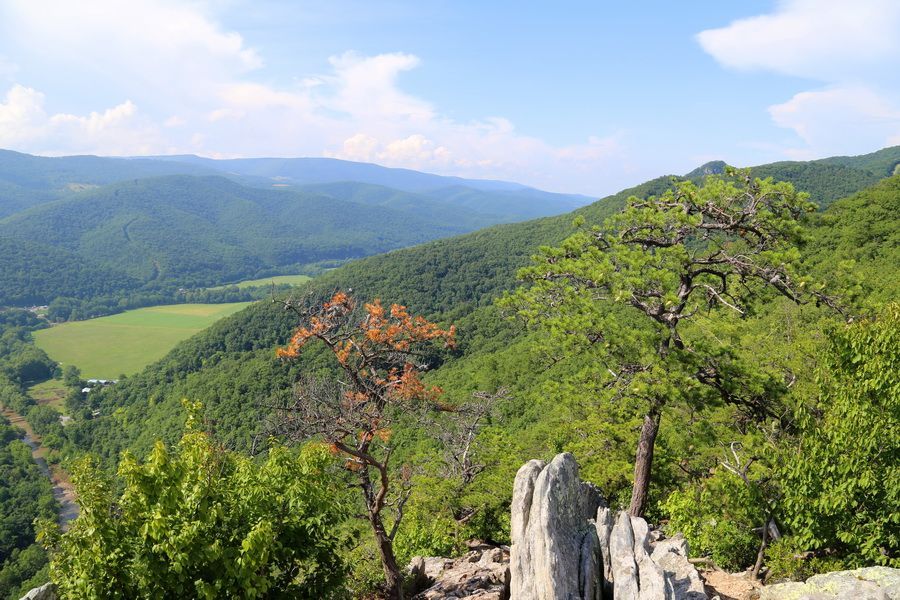 ݣɭסջ   ĩСSeneca RockDans Mountains
