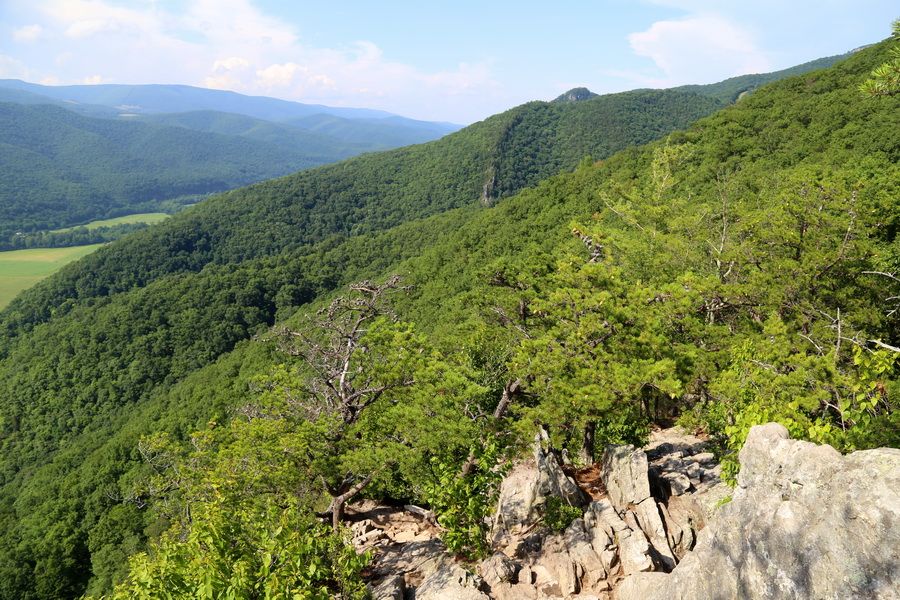 ݣɭסջ   ĩСSeneca RockDans Mountains