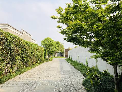 上海养云安缦 Amanyangyun - Ming Deluxe Pavilion （更新解决方案）