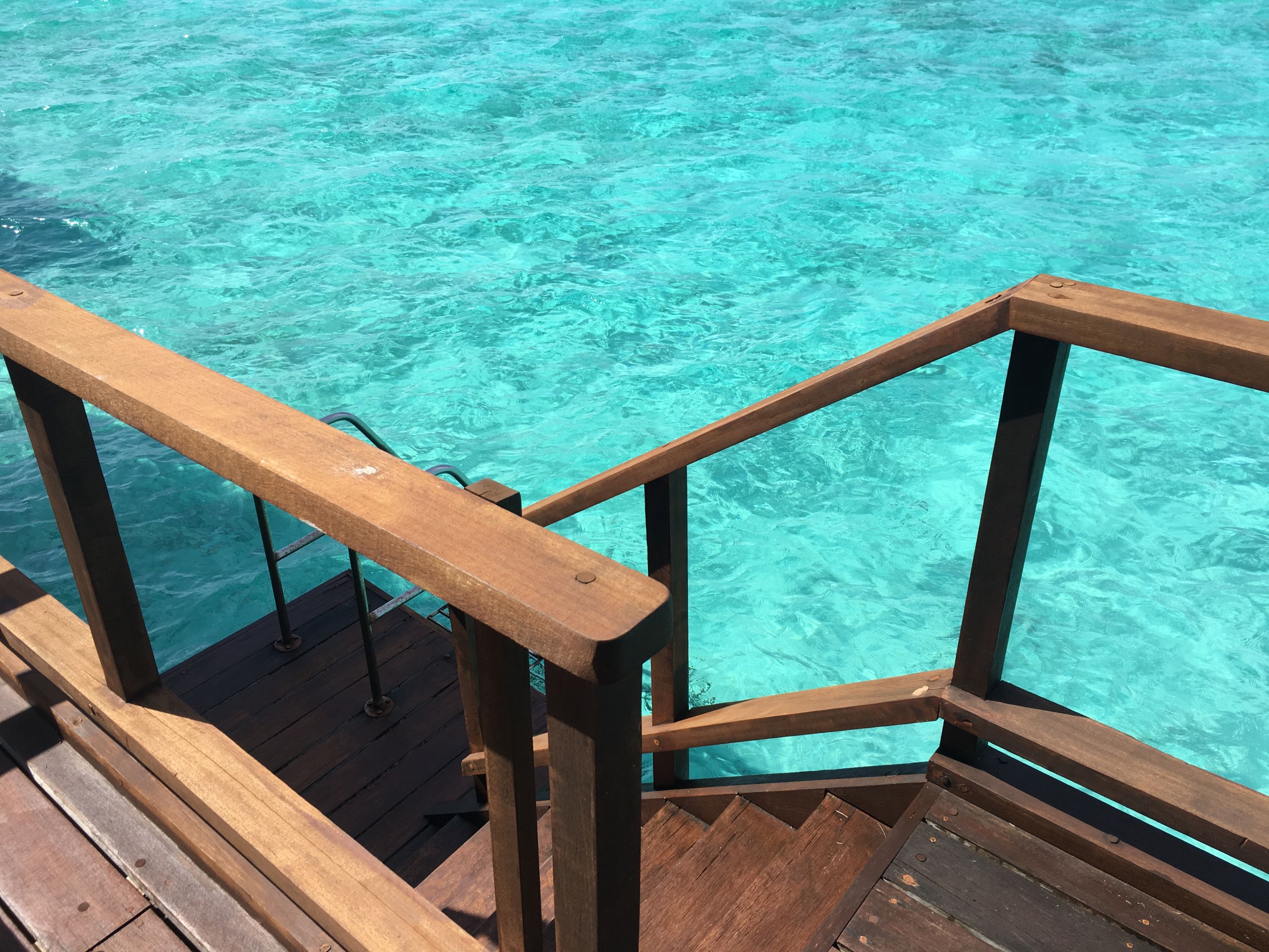 ͼ14굥û飺Maafushivaru Maldives м