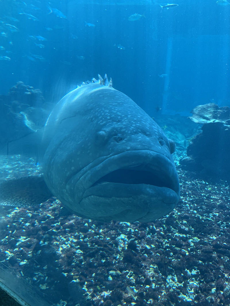 IMG_6223.JPG IMG_6223.JPG