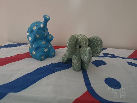 IMG_20200603_133147.jpg