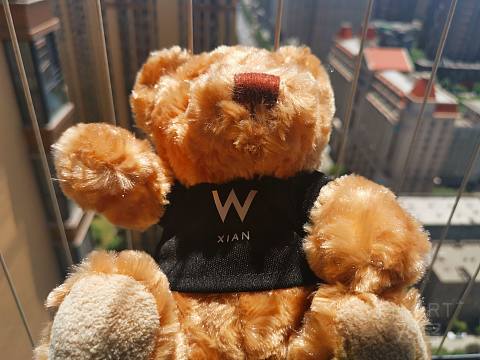 IMG_20200603_130839.jpg