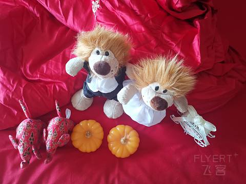 IMG_20200603_132358.jpg