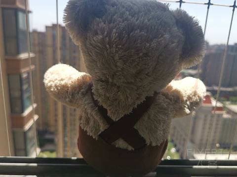 IMG_20200603_130719.jpg