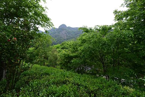 DSC_6759 - 鍓湰.JPG