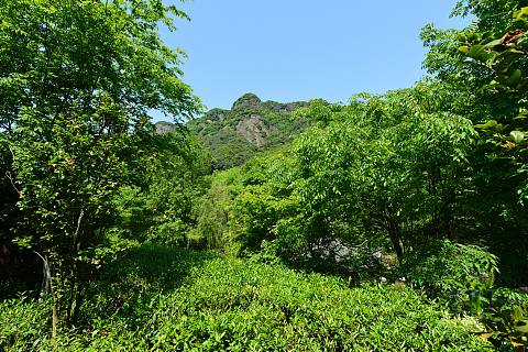 DSC_7052 - 鍓湰.JPG