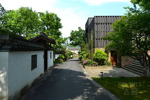 DSC_7207.JPG