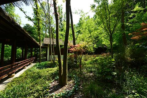 DSC_7116.JPG