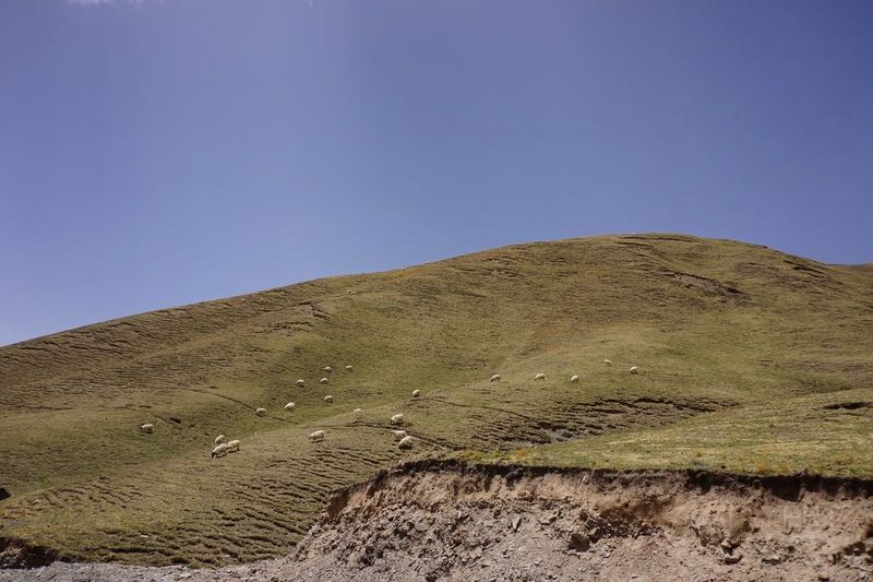DSC03113_璋冩暣澶у皬.JPG DSC03113_璋冩暣澶у皬.JPG
