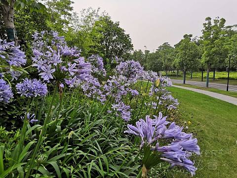 鍥櫙-1.jpg