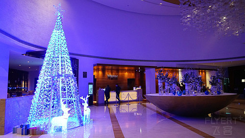 DSC08410_鍓湰.jpg