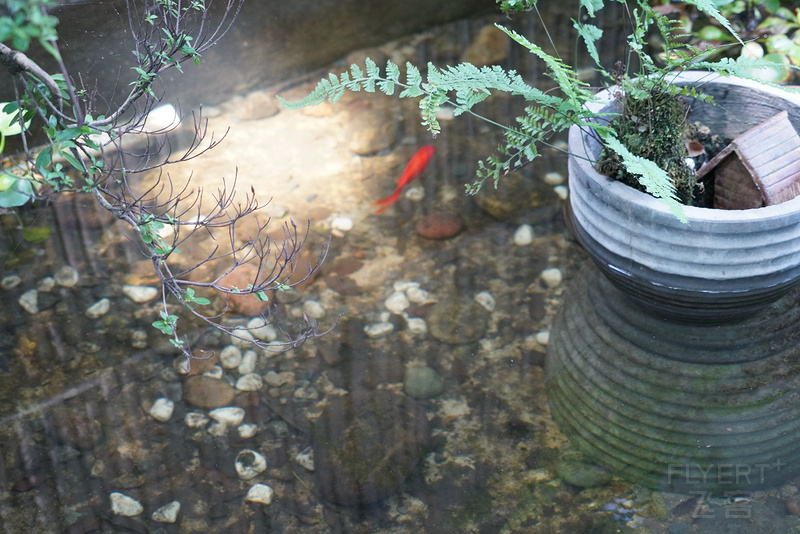 DSC00464_鍓湰.jpg DSC00464_鍓湰.jpg