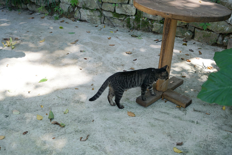 DSC00488_鍓湰.jpg DSC00488_鍓湰.jpg