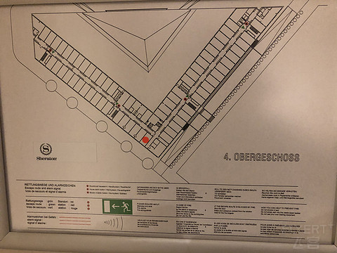 919267447.jpg