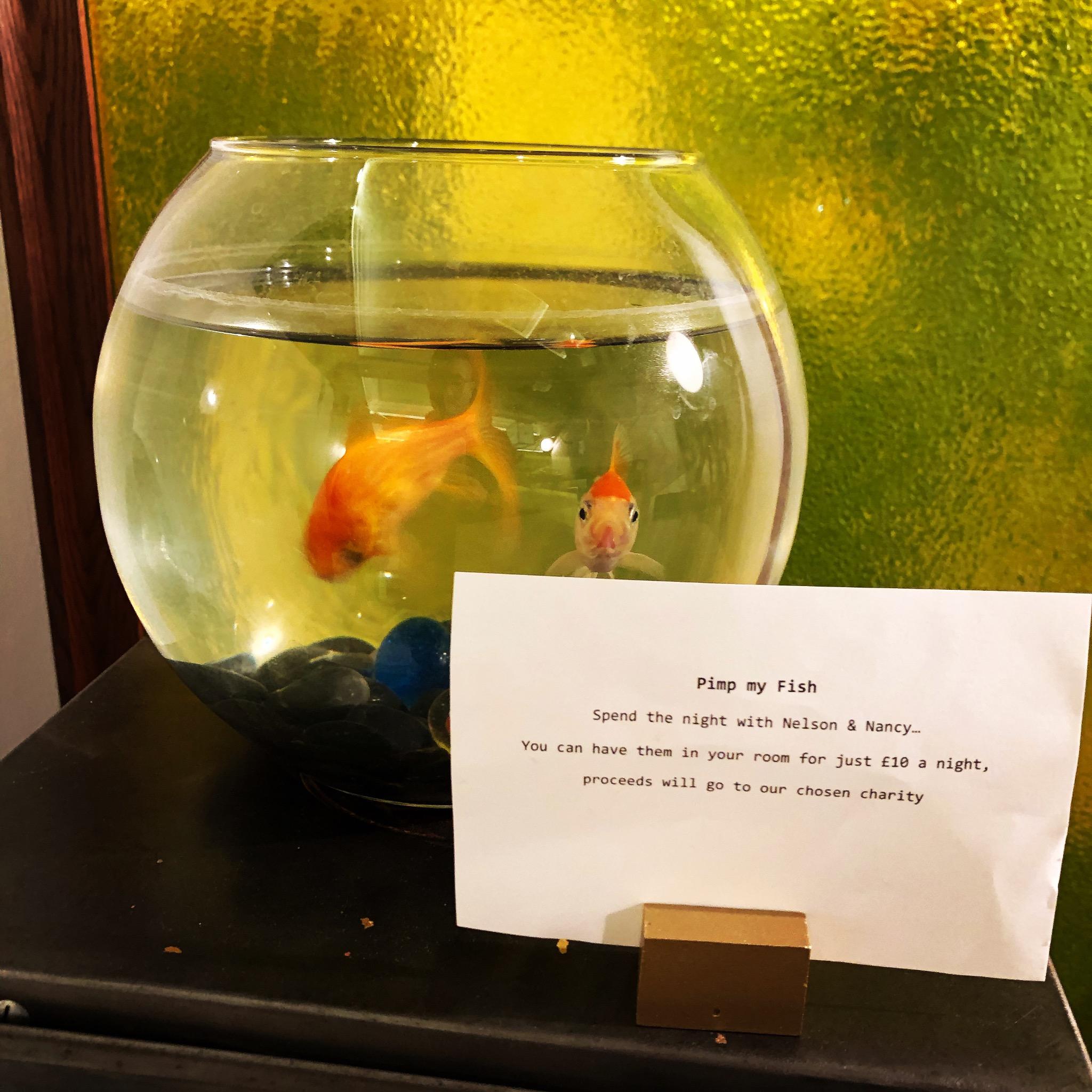 [Town Hall Hotel&Apartments ׶Ƶ깫Ԣ] Ϊ֪ġءƵꣿ