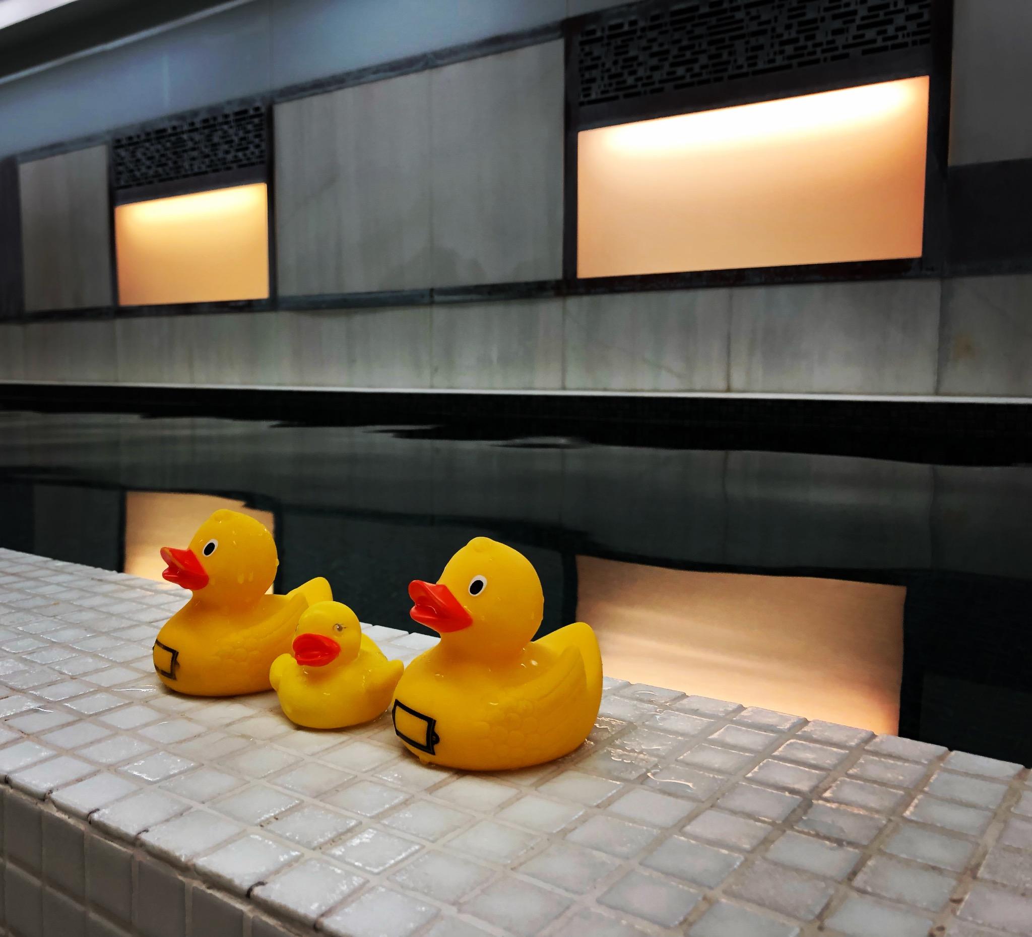 [Town Hall Hotel&Apartments ׶Ƶ깫Ԣ] Ϊ֪ġءƵꣿ