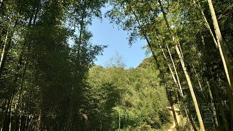#飞客11周年#遇见莫干山的滑翔伞/路虎体验/探索极限基地，宿德清凯悦嘉轩酒店