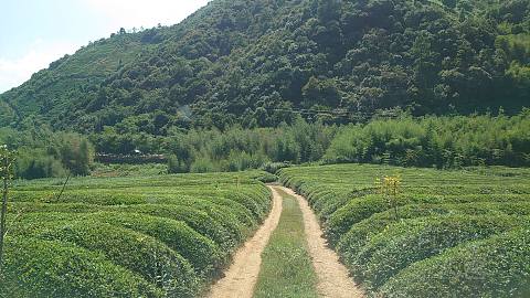 #飞客11周年#遇见莫干山的滑翔伞/路虎体验/探索极限基地，宿德清凯悦嘉轩酒店
