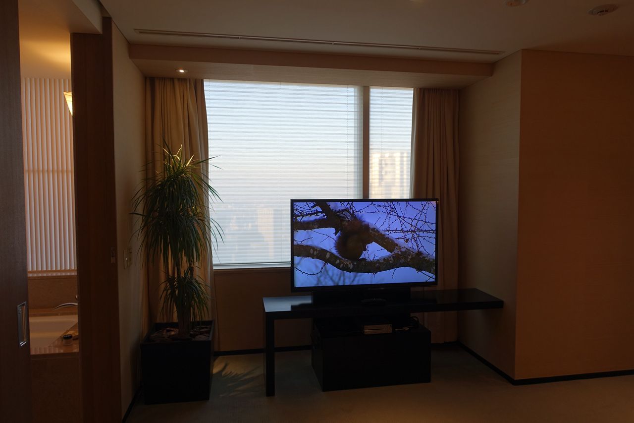 Park Hyatt Tokyo  Park Suite Twin