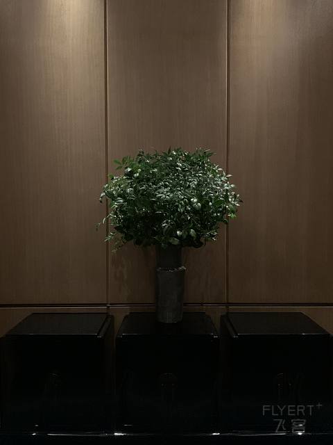 云巅之上，与小蛮腰的约会之广州瑰丽酒店